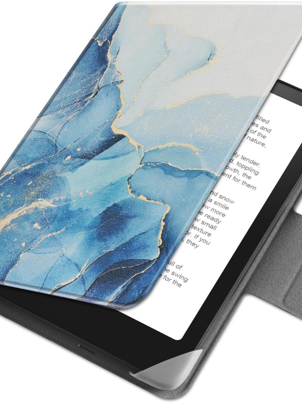 Universal EReader Case
